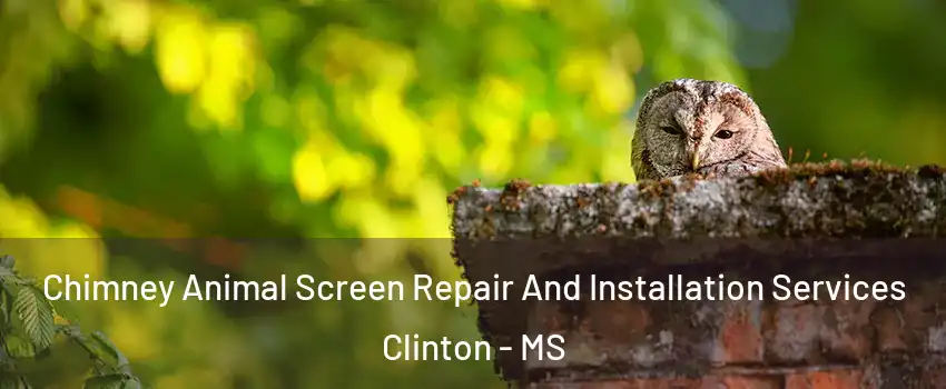  Chimney Animal Screen Repair And Installation Services Clinton - MS