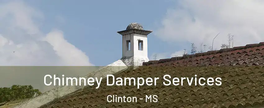  Chimney Damper Services Clinton - MS