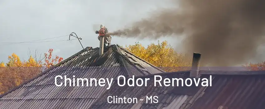  Chimney Odor Removal Clinton - MS