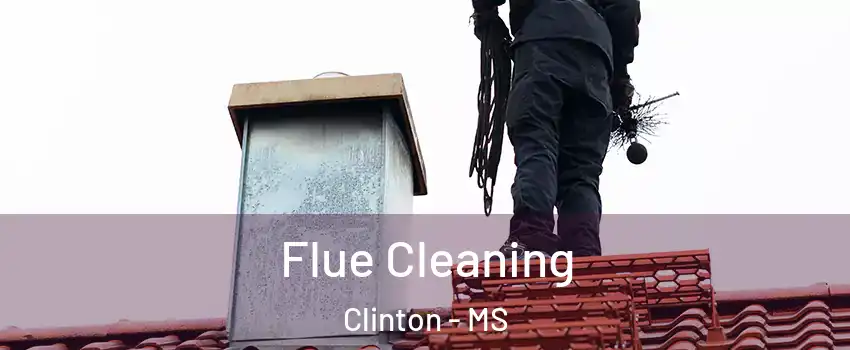  Flue Cleaning Clinton - MS
