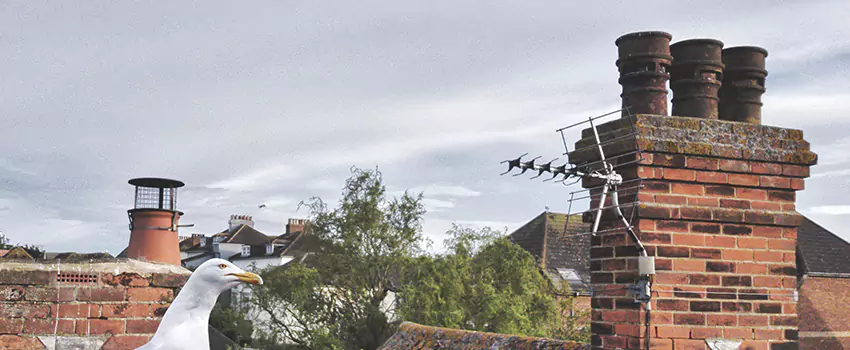 Chimney Cleaning And Restoration in Clinton, Mississippi