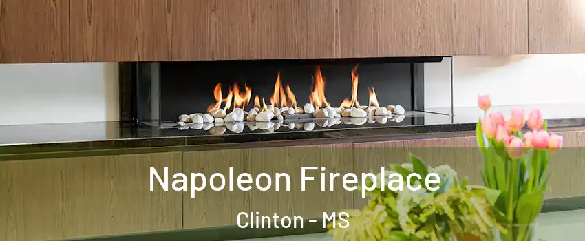  Napoleon Fireplace Clinton - MS